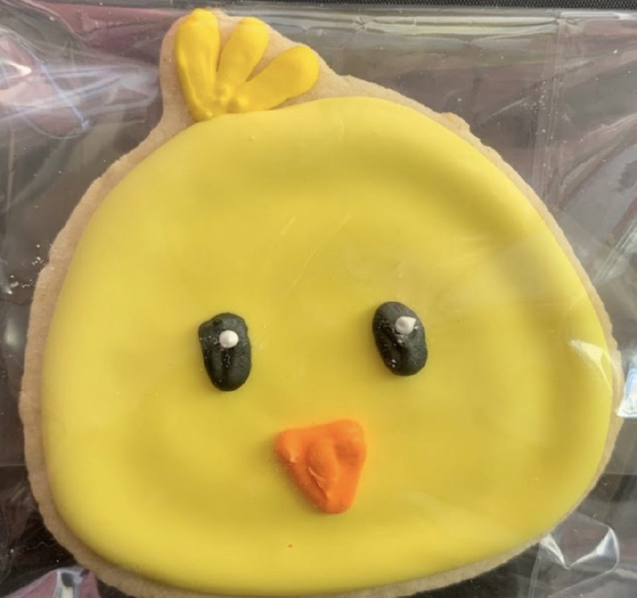 Galleta decorada de pollito amarillo · Decorated yellow chick cookie